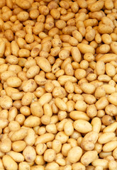 Close up of fresh potatoes