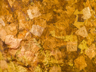 Gold leaves background
