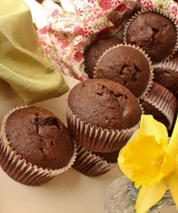 Chocolate muffins