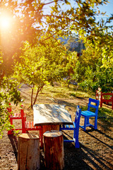 Wooden table and seats in garden