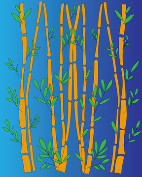 Bamboo