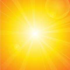 Vector : Summer background with sun and lens flare.