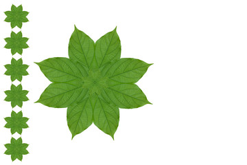Fototapeta premium Idea form leaf.(Flower concept)