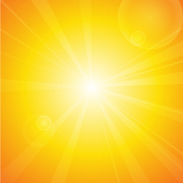 Vector : Summer background with sun and lens flare.