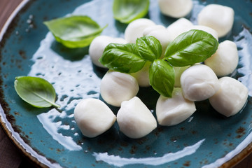 Close-up of mini mozzarella with green basil on a plate