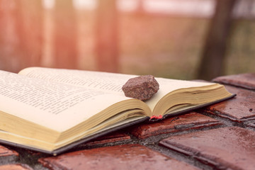 Stone on an open book put on red wet tiles. The sun rays warm the tree's branches behind