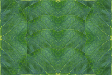 Pattern form leaf
