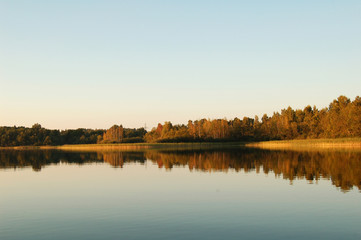 Fototapeta na wymiar Forest reflection in water