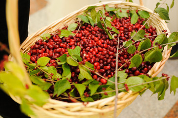 wedding decor berry at restaurant with all beauty and flowers