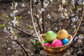 Easter eggs in a basket on a flowering tree