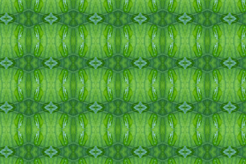 Create from leaf.(Wallpaper concept