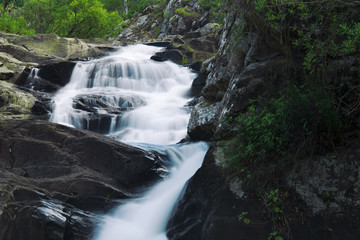 Fototapeta premium Waterfall in the gold coast hinterlands on the NSW border.