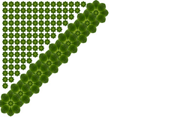 Craete from leaf and pattern