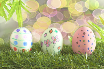 easter eggs and daisies in the grass