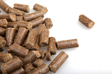 Pet food isolated on white background
