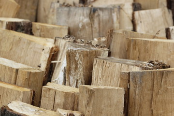 firewood