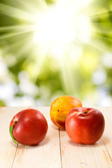 image of three nectarines against the sun
