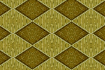 Yellow leaf a pattern