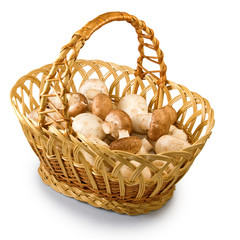 image of mushrooms in basket