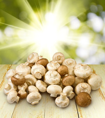image of many mushrooms