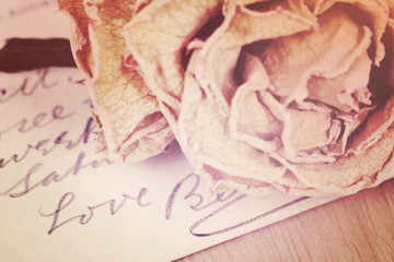 Close up of dry rose and Love word written on card. Soft light v