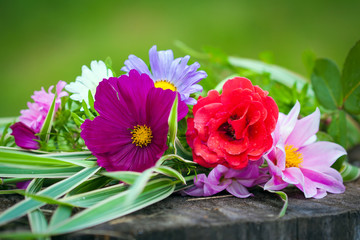 Obraz na płótnie Canvas Close-up of bright colorful garden flowers