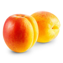 Apricot