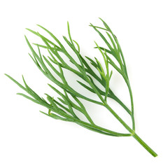 dill