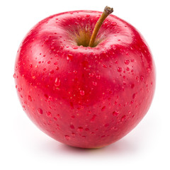 Fresh red wet apple with drops isolated on white.