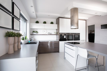 Houseplants in exclusive kitchen