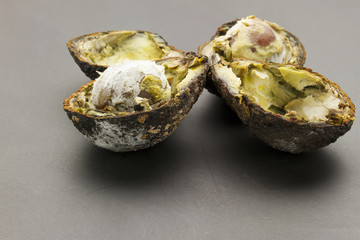 cutted rotten avocados