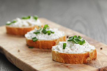 homemade appetizing crostini with soft cheefe cream and onion