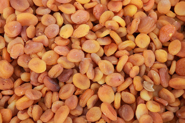 Dried Apricot of Malatya