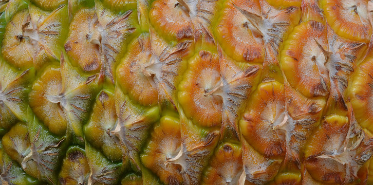 Close up texture of fresh ripe pineapple background