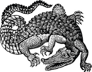 Naklejka premium Vintage graphic crocodile