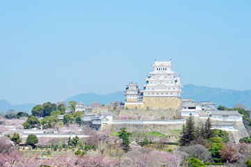 Himeji castle in spring