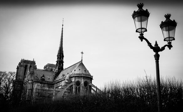Fototapeta Notre Dame and traditional lamppost, east side, black and white