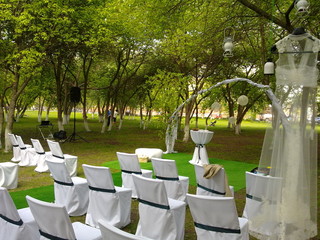 wedding in park