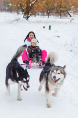 Riding on malamutes