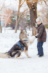 The boys train a dog