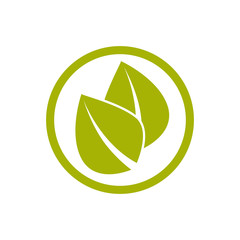 Two green leaves. Vector icon.