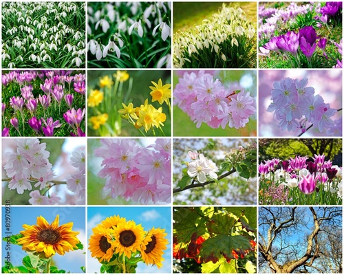 "Frühling, Sommer, Herbst und Winter" Stockfotos und lizenzfreie Bilder