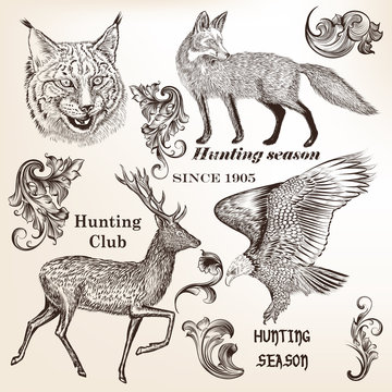 Set of hand drawn animals and flourishes in vintage style