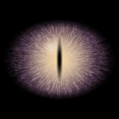 eye with thin pupil and purple iris. View into isolated eye