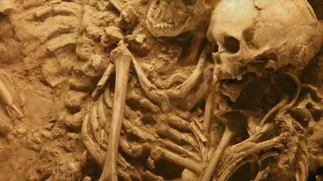 Human skeleton in ancient grave