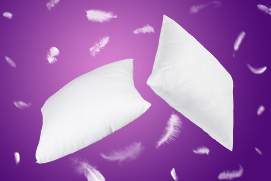 White Pillow Feathers Fly