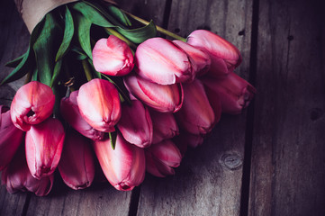 fresh spring pink tulips