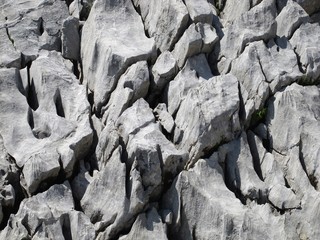 Karst rock in the Alps
