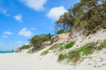 Fototapeta na wymiar sand dune in Maria Pia beach