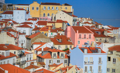Fototapeta na wymiar Lizbina